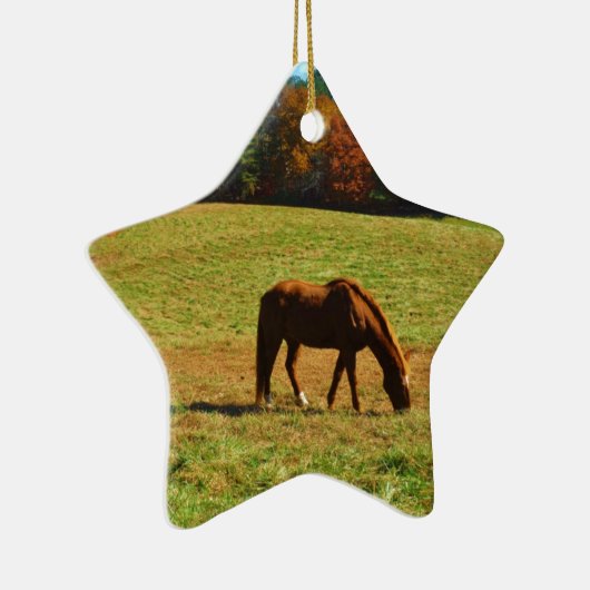 Rood bruin paard in de herfstbomen keramisch ornament (Rechts)