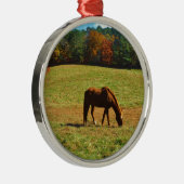 Rood bruin paard in de herfstbomen metalen ornament (Rechts)