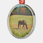 Rood bruin paard in de herfstbomen metalen ornament (Links)