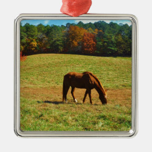 Rood bruin paard in de herfstbomen metalen ornament
