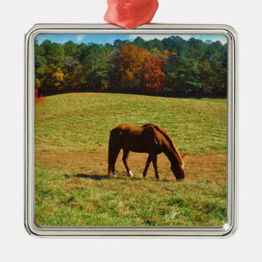Rood bruin paard in de herfstbomen metalen ornament (Voorkant)