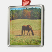 Rood bruin paard in de herfstbomen metalen ornament (Links)