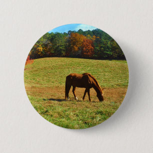 Rood bruin paard in de herfstbomen ronde button 5,7 cm