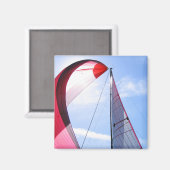 Rood centrifuge met zon magneet (Voorkant / Achterkant)