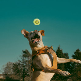 Rood chili groen chili zia zon tennisballen