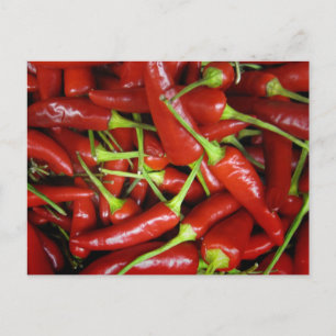 Rood Chili Peppers Gift Range Briefkaart