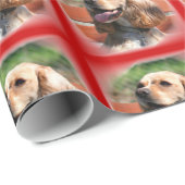 Rood Cocker Spaniel verpakkingspapier Cadeaupapier (Rol Hoek)