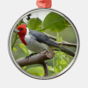 Rood-crested Kardinaal Metalen Ornament