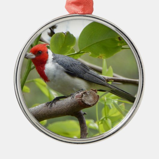 Rood-crested Kardinaal Metalen Ornament (Voorkant)