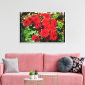 Rood Dahlia Bloemdoek Canvas Afdruk (Insitu (Woonkamer))