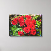 Rood Dahlia Bloemdoek Canvas Afdruk (Voorkant)