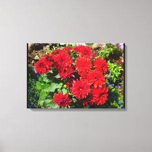 Rood Dahlia Bloemdoek Canvas Afdruk