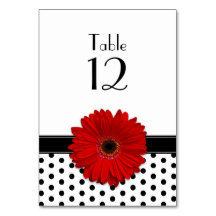 Rood Daisy Zwart Wit Polka Dot Bruiloft
