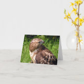 Rood-de steel verwijderde van havik kaart (Gele Bloem)