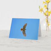 Rood-de steel verwijderde van Havik tijdens de Kaart (Gele Bloem)