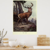  rood deer schilderen (1909) poster (Keuken)