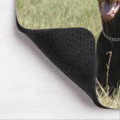 Rood Dobermanmuisblok Muismat (Hoek)