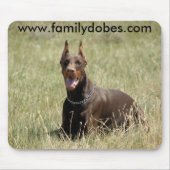 Rood Dobermanmuisblok Muismat (Voorkant)