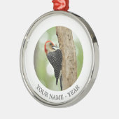 Rood-doen zwellen Specht Metalen Ornament (Links)