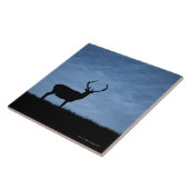 Rood-donkerval 's nachts gesiëerd tegeltje (Zijkant)