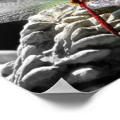 Rood dragonfly (Sympetrum vicinum) Poster (Hoek)