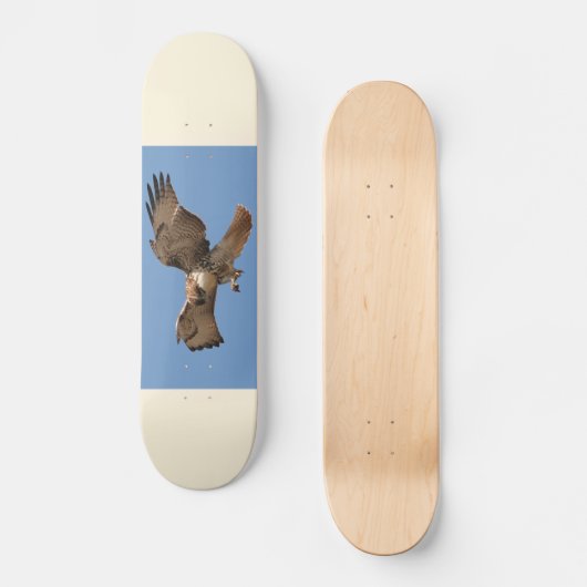Rood-driekleurig Hawk-skateboard Skateboard (Voorkant)