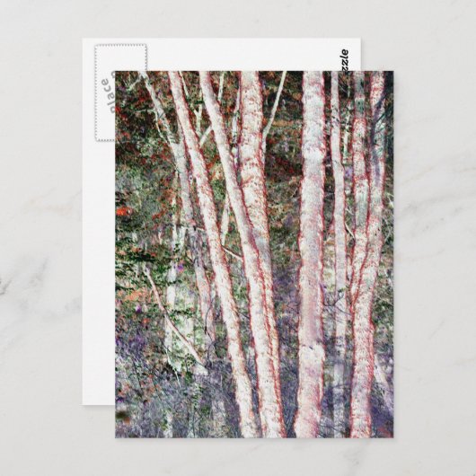 Rood-Edged Trees Briefkaart (Voorkant / Achterkant)