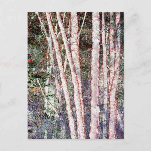 Rood-Edged Trees Briefkaart (Voorkant)