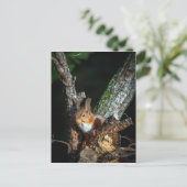 Rood eekhoorn omhoog een boom briefkaart (Staand voorkant)