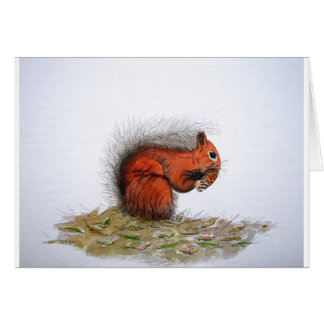 Rood-eekhoornpittenkegeltje