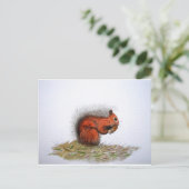 Rood-eekhoornpittenkegeltje Briefkaart (Staand voorkant)