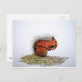 Rood-eekhoornpittenkegeltje Briefkaart (Voorkant / Achterkant)