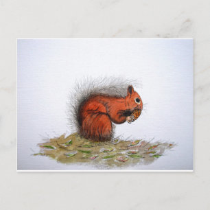Rood-eekhoornpittenkegeltje Briefkaart