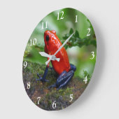 Rood- en blauw gifdekkikker grote klok (Hoek)