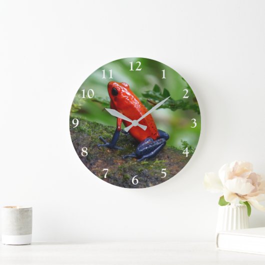 Rood- en blauw gifdekkikker grote klok (Huis)