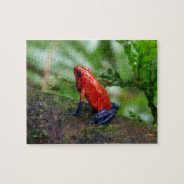 Rood- en blauw gifdekkikker legpuzzel