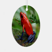 Rood- en blauw gifdekkikker metalen ornament (Voorkant Rechts)