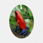 Rood- en blauw gifdekkikker metalen ornament (Voorkant links)