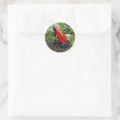 Rood- en blauw gifdekkikker ronde sticker (Tas)