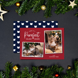 Rood en blauw Kat Face Purrfect Holiday-fotokaart Feestdagenkaart