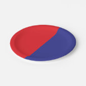 Rood en blauw papieren bordje (Gekanteld)