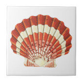 Rood en Bleek Geel Scallop schelp Acryl Tegeltje (Voorkant)
