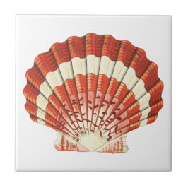  Rood en Bleek Geel Scallop schelp Acryl  Tegeltje