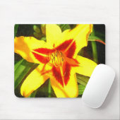 Rood- en Geel Dagelijks Bloem Mousepad Muismat (Met muis)