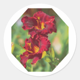 Rood en Geel Dagelijks Bloem vorm Schilderen Ronde Sticker