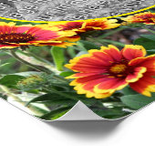 Rood en geel Daisy Lijst Creëer Uw eigen foto Poster (Hoek)