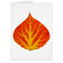 Rood en geel esperen Leaf #10