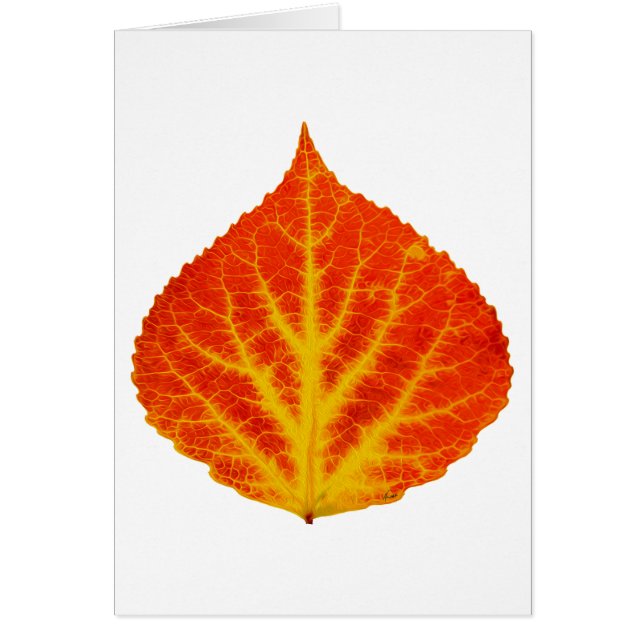 Rood en geel esperen Leaf #10 (Voorkant)