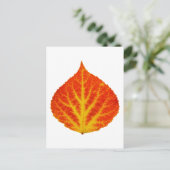 Rood en geel esperen Leaf #10 Briefkaart (Staand voorkant)