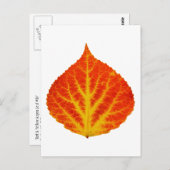 Rood en geel esperen Leaf #10 Briefkaart (Voorkant / Achterkant)